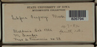 Image Associated With the Occurrence